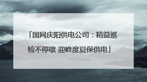 国网庆阳供电公司：精益巡检不停歇 迎峰度夏保供电