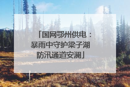 国网鄂州供电：暴雨中守护梁子湖防汛通道安澜