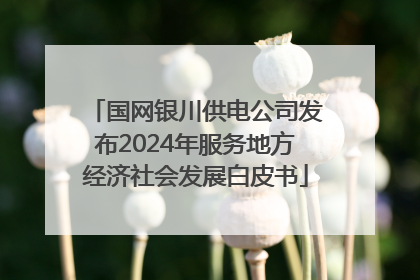 国网银川供电公司发布2024年服务地方经济社会发展白皮书
