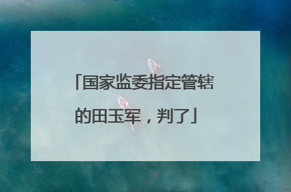 国家监委指定管辖的田玉军，判了
