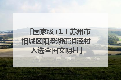 国家级+1！苏州市相城区阳澄湖镇消泾村入选全国文明村