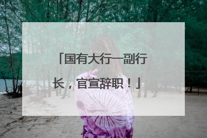 国有大行一副行长，官宣辞职！