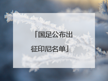 国足公布出征印尼名单