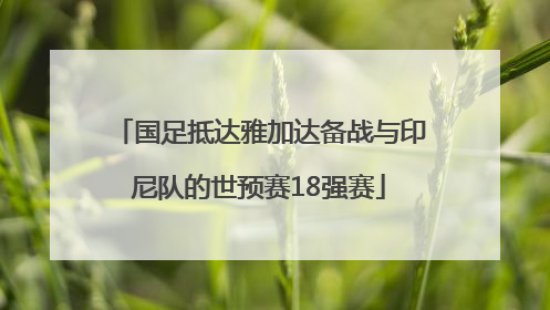 国足抵达雅加达备战与印尼队的世预赛18强赛