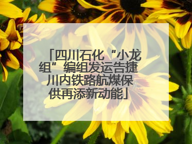 四川石化“小龙组”编组发运告捷 川内铁路航煤保供再添新动能