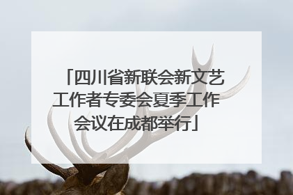 四川省新联会新文艺工作者专委会夏季工作会议在成都举行
