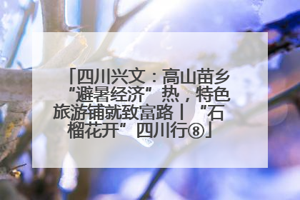 四川兴文：高山苗乡“避暑经济”热，特色旅游铺就致富路丨“石榴花开”四川行⑧