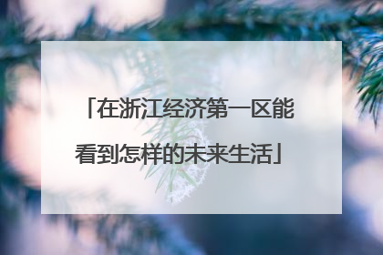 在浙江经济第一区能看到怎样的未来生活