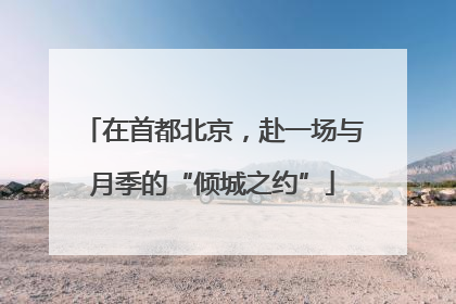 在首都北京，赴一场与月季的“倾城之约”
