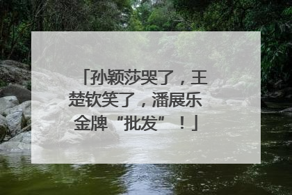 孙颖莎哭了，王楚钦笑了，潘展乐金牌“批发”！