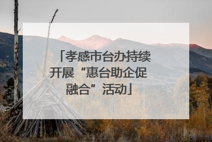 孝感市台办持续开展“惠台助企促融合”活动