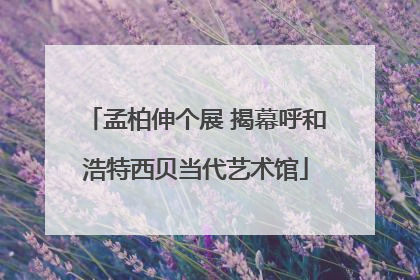 孟柏伸个展 揭幕呼和浩特西贝当代艺术馆