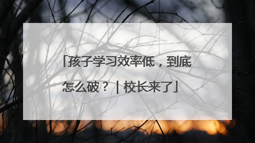 孩子学习效率低，到底怎么破？｜校长来了