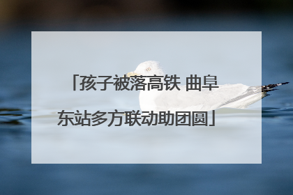 孩子被落高铁 曲阜东站多方联动助团圆