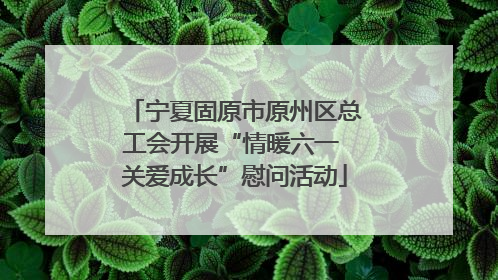 宁夏固原市原州区总工会开展“情暖六一 关爱成长”慰问活动