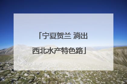 宁夏贺兰 淌出西北水产特色路