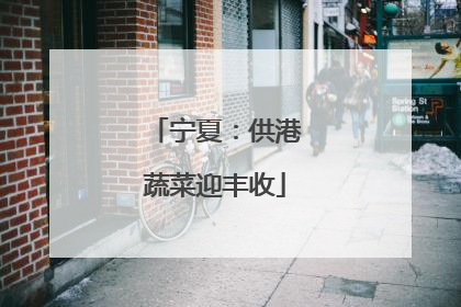 宁夏：供港蔬菜迎丰收