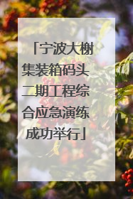 宁波大榭集装箱码头二期工程综合应急演练成功举行