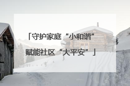 守护家庭“小和谐” 赋能社区“大平安”