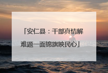 安仁县：干部真情解难题一面锦旗映民心