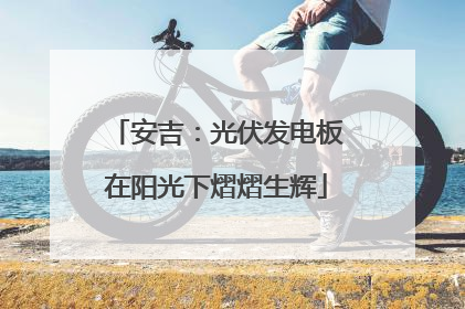 安吉：光伏发电板在阳光下熠熠生辉