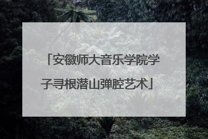 安徽师大音乐学院学子寻根潜山弹腔艺术