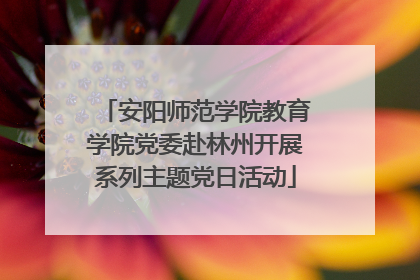 安阳师范学院教育学院党委赴林州开展系列主题党日活动
