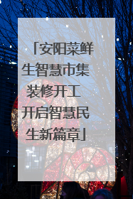 安阳菜鲜生智慧市集装修开工 开启智慧民生新篇章