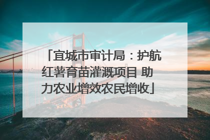 宜城市审计局：护航红薯育苗灌溉项目 助力农业增效农民增收