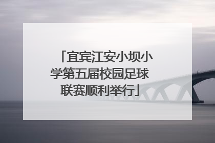 宜宾江安小坝小学第五届校园足球联赛顺利举行