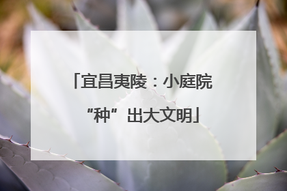 宜昌夷陵：小庭院“种”出大文明