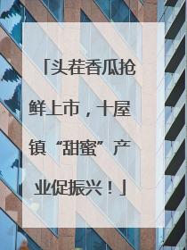 头茬香瓜抢鲜上市，十屋镇“甜蜜”产业促振兴！