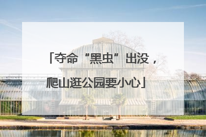 夺命“黑虫”出没，爬山逛公园要小心