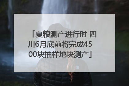 夏粮测产进行时 四川6月底前将完成4500块抽样地块测产
