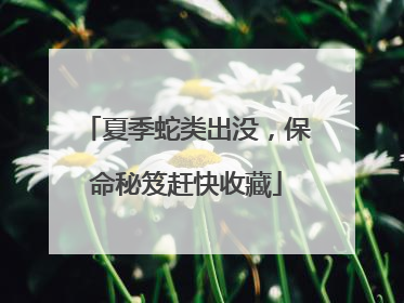 夏季蛇类出没，保命秘笈赶快收藏