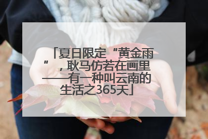 夏日限定“黄金雨”，耿马仿若在画里——有一种叫云南的生活之365天
