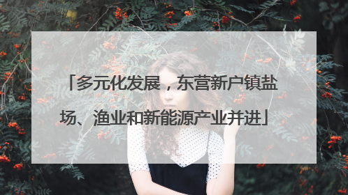 多元化发展，东营新户镇盐场、渔业和新能源产业并进