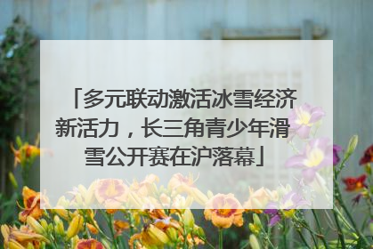 多元联动激活冰雪经济新活力，长三角青少年滑雪公开赛在沪落幕