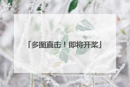 多图直击！即将开桨