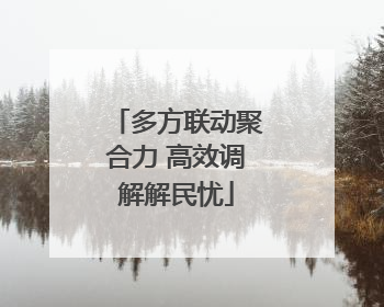 多方联动聚合力 高效调解解民忧
