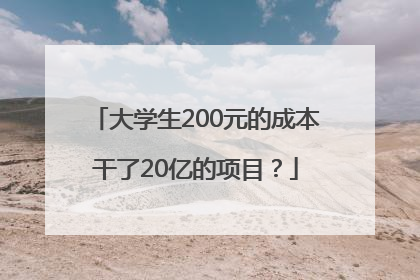 大学生200元的成本干了20亿的项目？