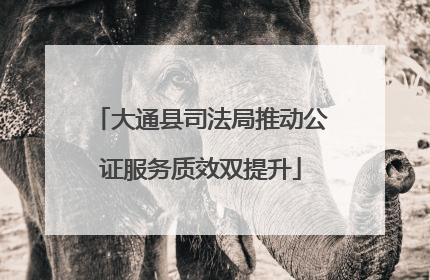 大通县司法局推动公证服务质效双提升