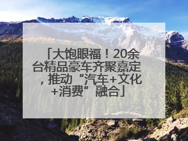 大饱眼福！20余台精品豪车齐聚嘉定，推动“汽车+文化+消费”融合