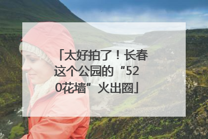 太好拍了！长春这个公园的“520花墙”火出圈