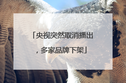 央视突然取消播出，多家品牌下架