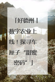 好德州丨数字农业上线！探寻车厘子“甜蜜密码”