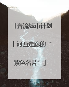 奔流城市计划丨河西走廊的“紫色名片”