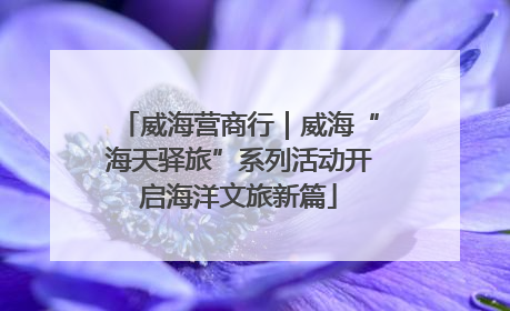 威海营商行｜威海“海天驿旅”系列活动开启海洋文旅新篇