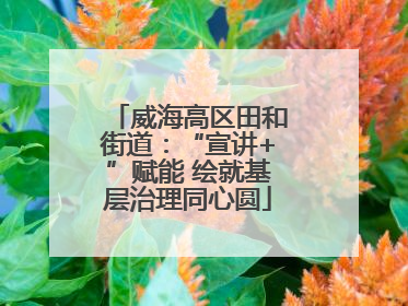 威海高区田和街道：“宣讲+”赋能 绘就基层治理同心圆