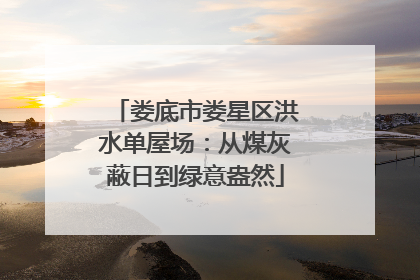 娄底市娄星区洪水单屋场：从煤灰蔽日到绿意盎然